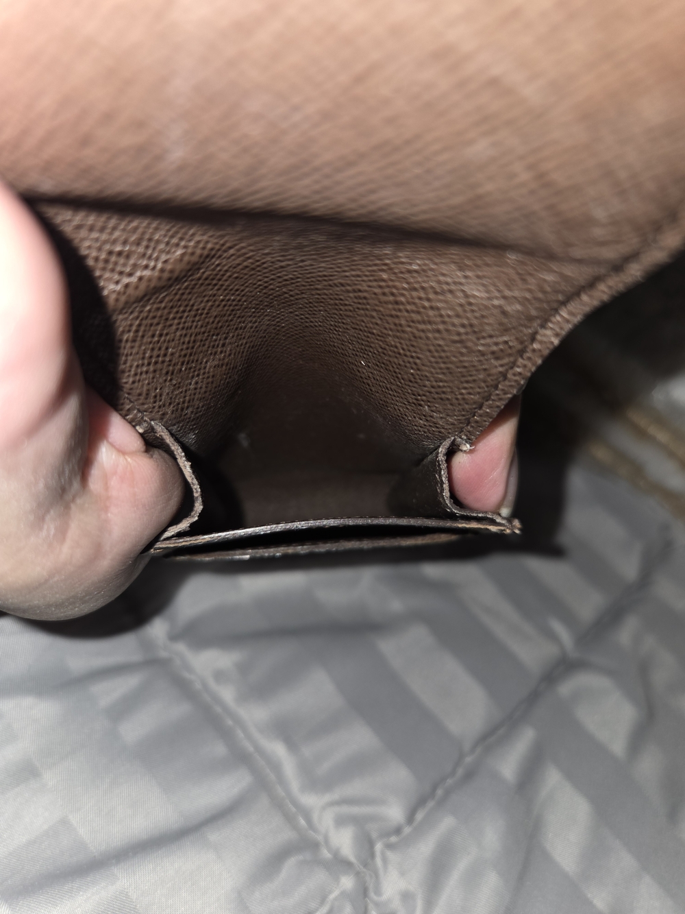 Louis Vuitton Damier Ebene Canvas Case - Picture 8 of 9